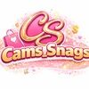 cams_snags